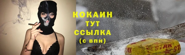 гашик Баксан