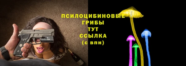 стафф Балахна