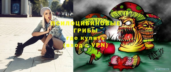 стафф Балахна