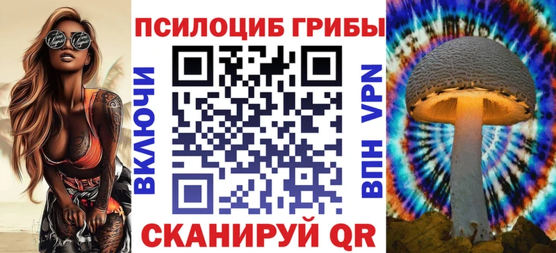 Псилоцибиновые грибы Psilocybine cubensis  Белая Калитва 